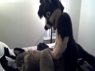 fursuiting romp